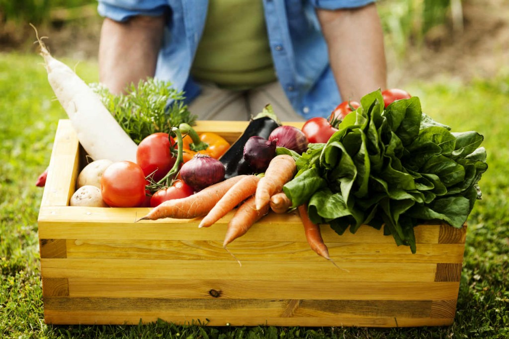 Beneficios-de-consumir-alimentos-organicos-3